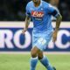 Cannavaro Paolo Napoli maglia azzurra 2013 azione ifa